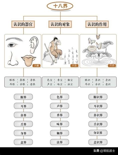 十二處意思|十二處的解釋